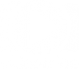 VideoTribeLogo White 2
